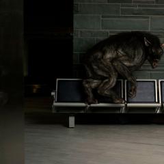 战争狂犬 - 9HfN13dMYPpaed4agiBt8EZPlCF.jpg