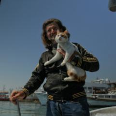 伊斯坦布尔的猫 - h4EvtdOfydeIfDEZ1rpU0mviI3j.jpg