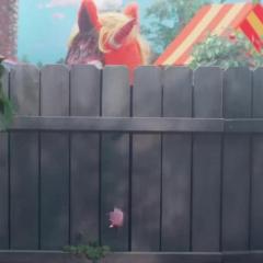逃出布迪秀 - o9NArCekOJZxdusjrshlgBnQMv6.jpg