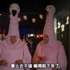 波士顿法律 第一季 - p1583509767638068476.jpg